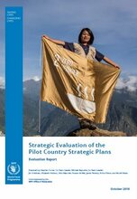 Strategic Evaluation of the Pilot Country Strategic Plans